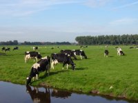 Boerderij Nellesteijn