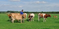 Boerderijwinkel: biomelk kaas ijs