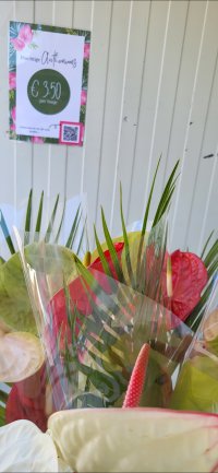 Anthurium boeketten