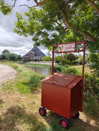 Oterleuker scharreleitjes