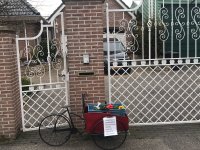 De gezonde bakfiets